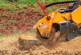 How Our Tree Care Process Works  in  South Connellsville, PA